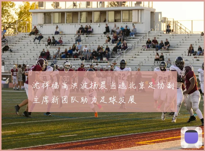 沈祥福高洪波杨晨当选北京足协副主席新团队助力足球发展
