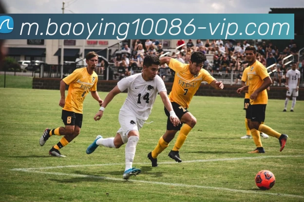 宝盈体育APP 高清赛事图